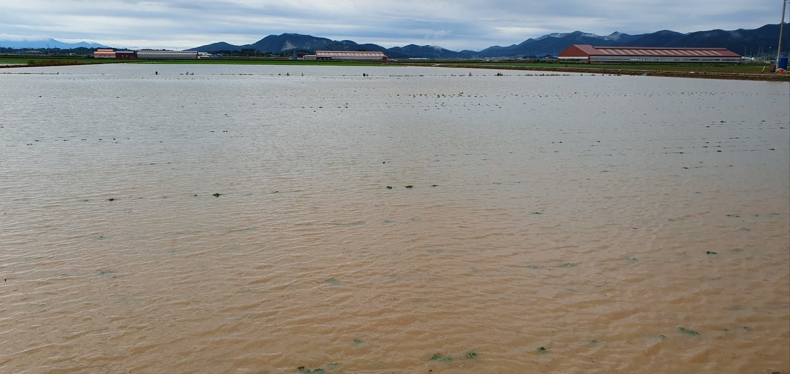김정기 의원, 정부 권장 전략작물 재배 피해 농가 지원 촉구 3
