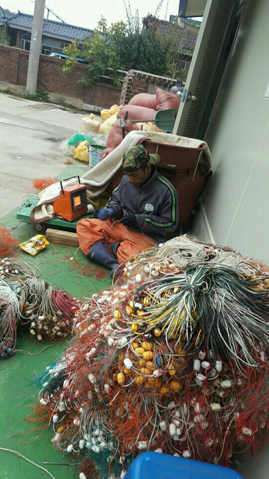 외국인 건강보험 사각지대 대책 마련 촉구 3