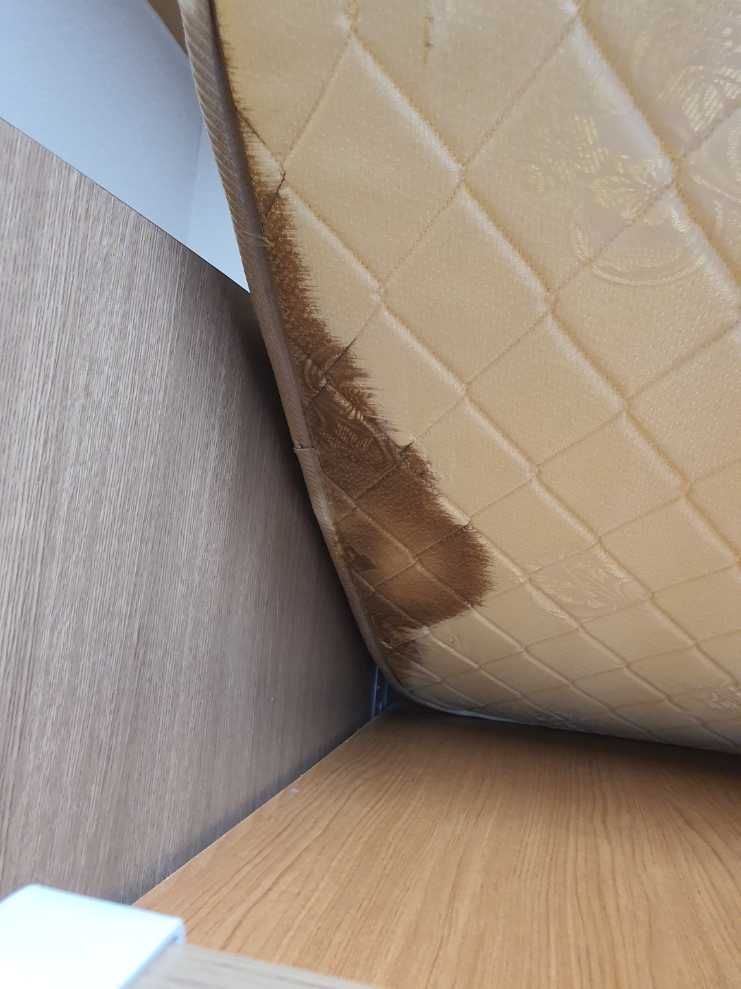 교육위, 행정사무감사...과학고 기숙사 쥐 사체 등 발견 5