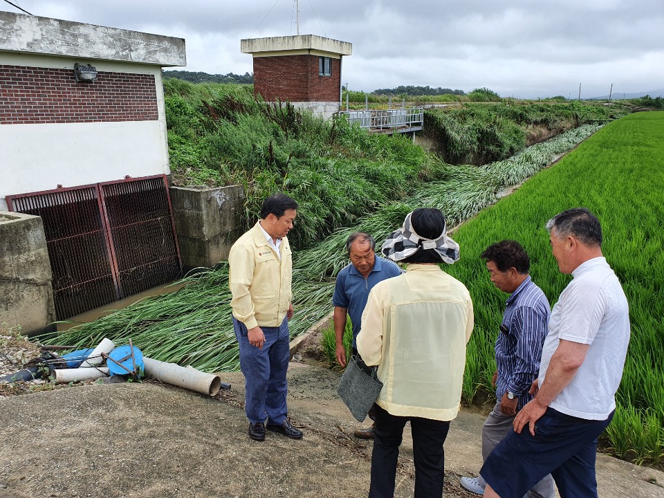성경찬 도의원, 고창군 침수피해지역 현장 점검 4