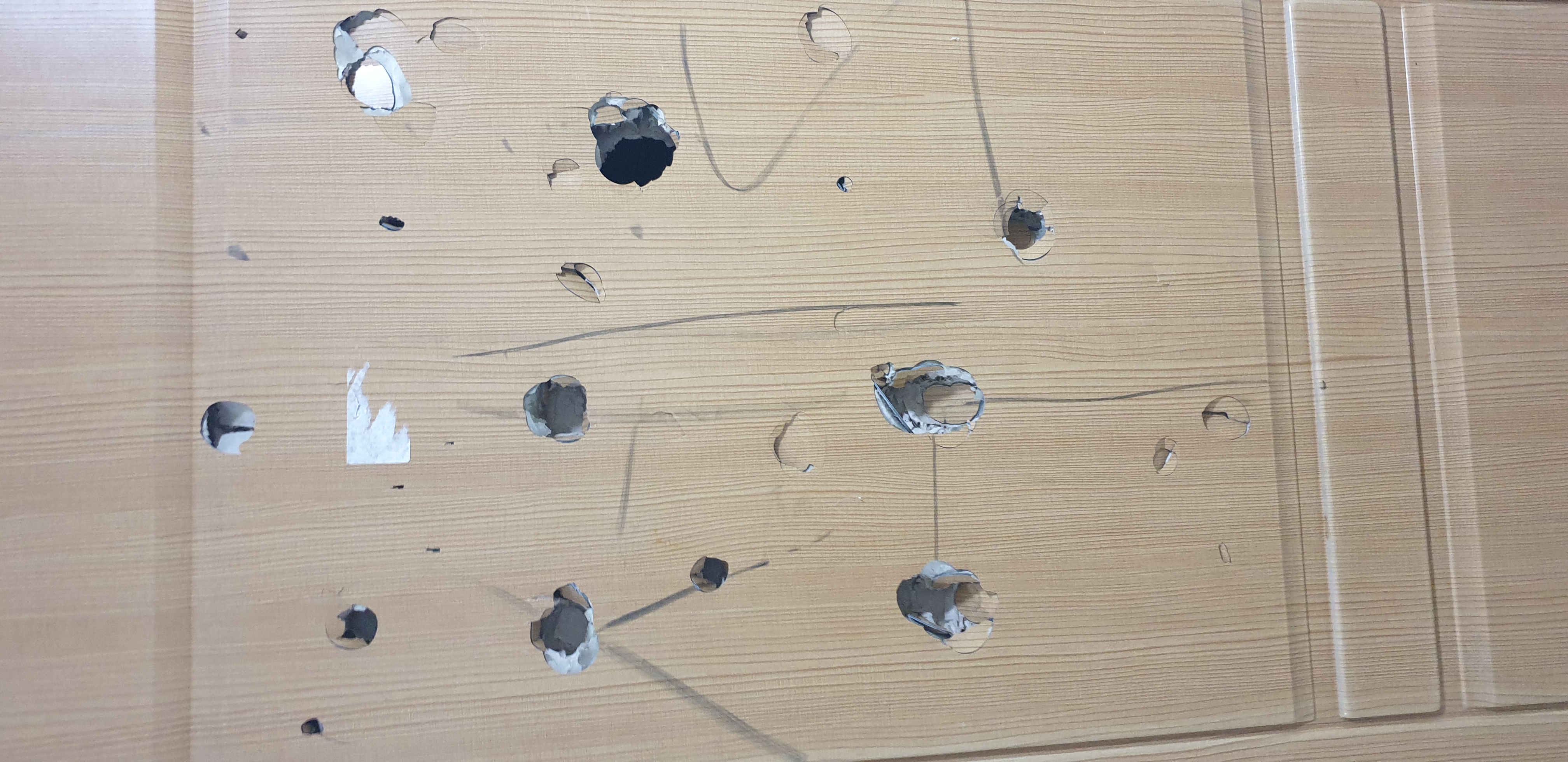 교육위, 행정사무감사...과학고 기숙사 쥐 사체 등 발견 4