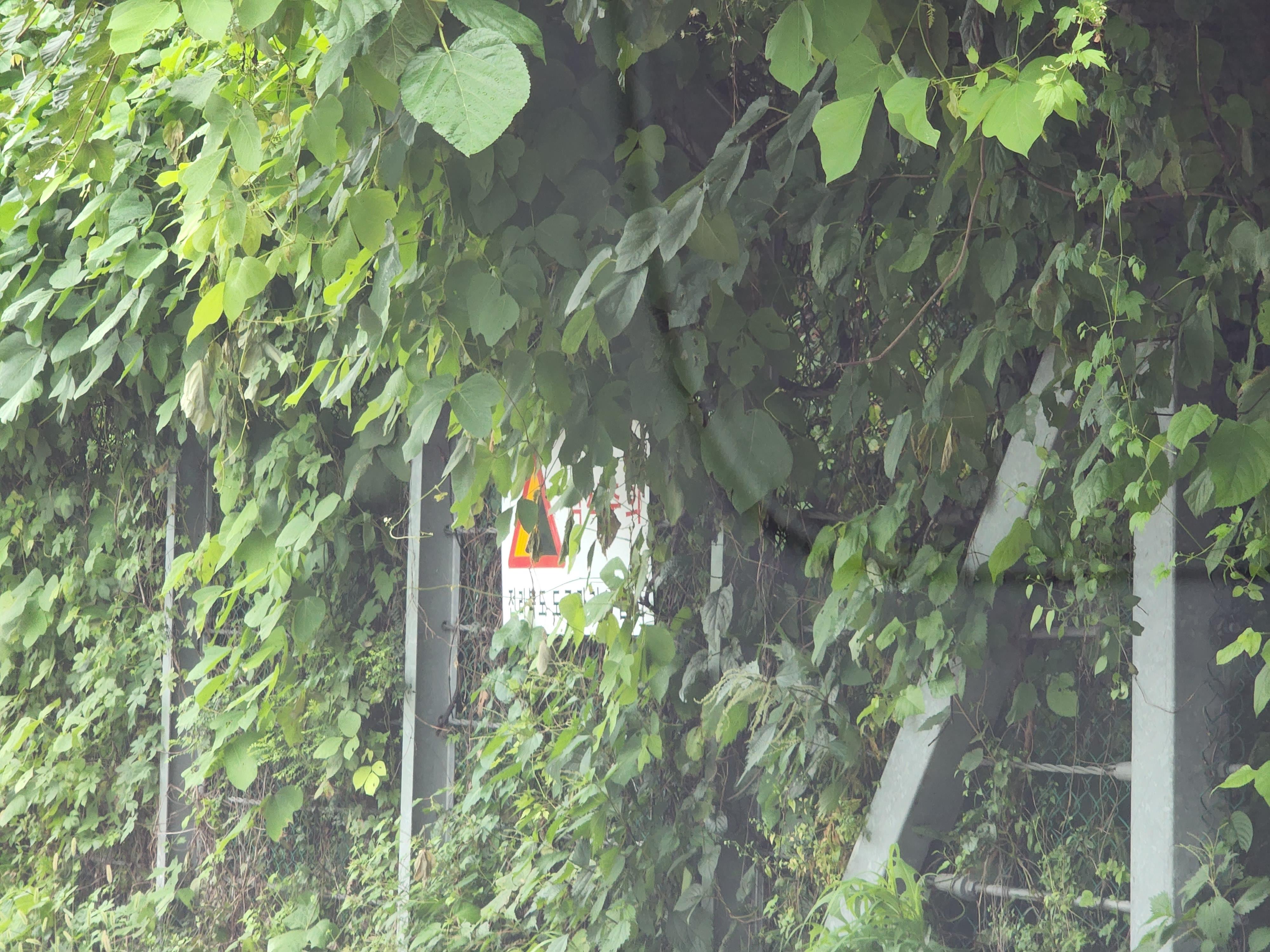 박용근 도의원, 사고예방위해 지방도 보수예산 확충해야 2