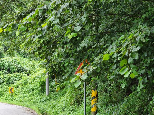 박용근 도의원, 사고예방위해 지방도 보수예산 확충해야 4