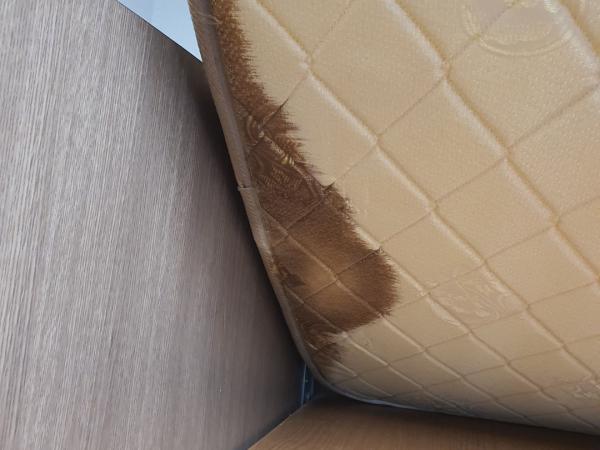 교육위, 행정사무감사...과학고 기숙사 쥐 사체 등 발견 5