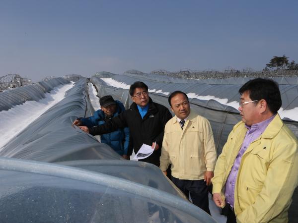 김영배 도의장, 폭설 피해 현장속으로 2