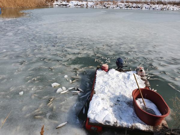 성경찬 도의원 한파 속 현장의정활동 2