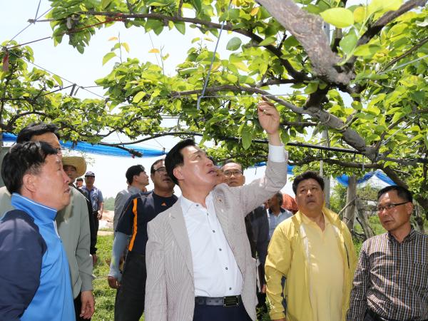 최진호 도의장, 냉해피해로 한숨짓는 농가속으로 2