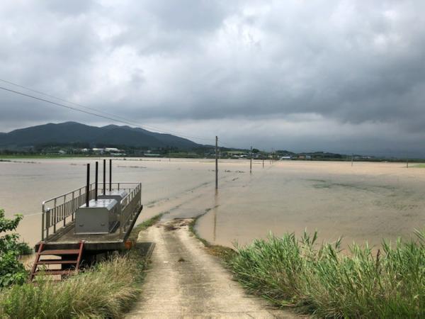 성경찬 도의원, 고창군 침수피해지역 현장 점검 3