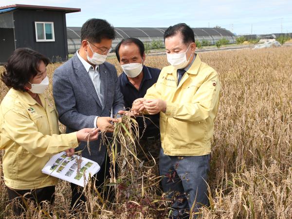 송지용 의장, 벼 병해충 재난지역 선포 촉구 2