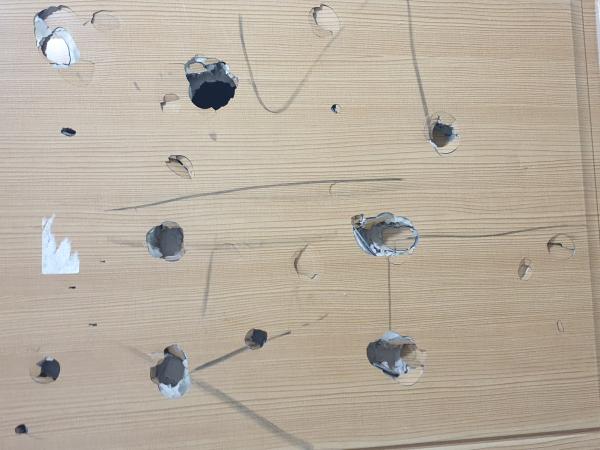 교육위, 행정사무감사...과학고 기숙사 쥐 사체 등 발견 4