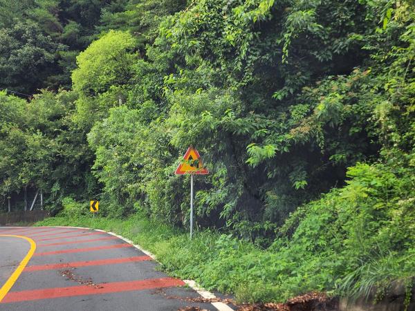 박용근 도의원, 사고예방위해 지방도 보수예산 확충해야 3