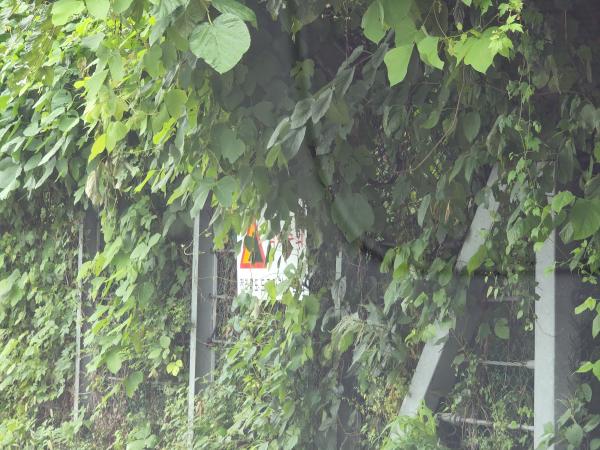 박용근 도의원, 사고예방위해 지방도 보수예산 확충해야 2