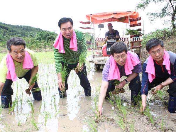 9대 도의회 의장단, 단빗속 모내기로 첫 의정활동 2